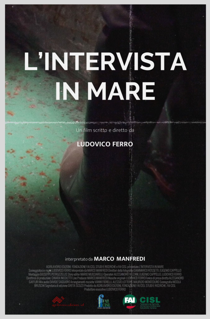 Poster film L'intervista in mare